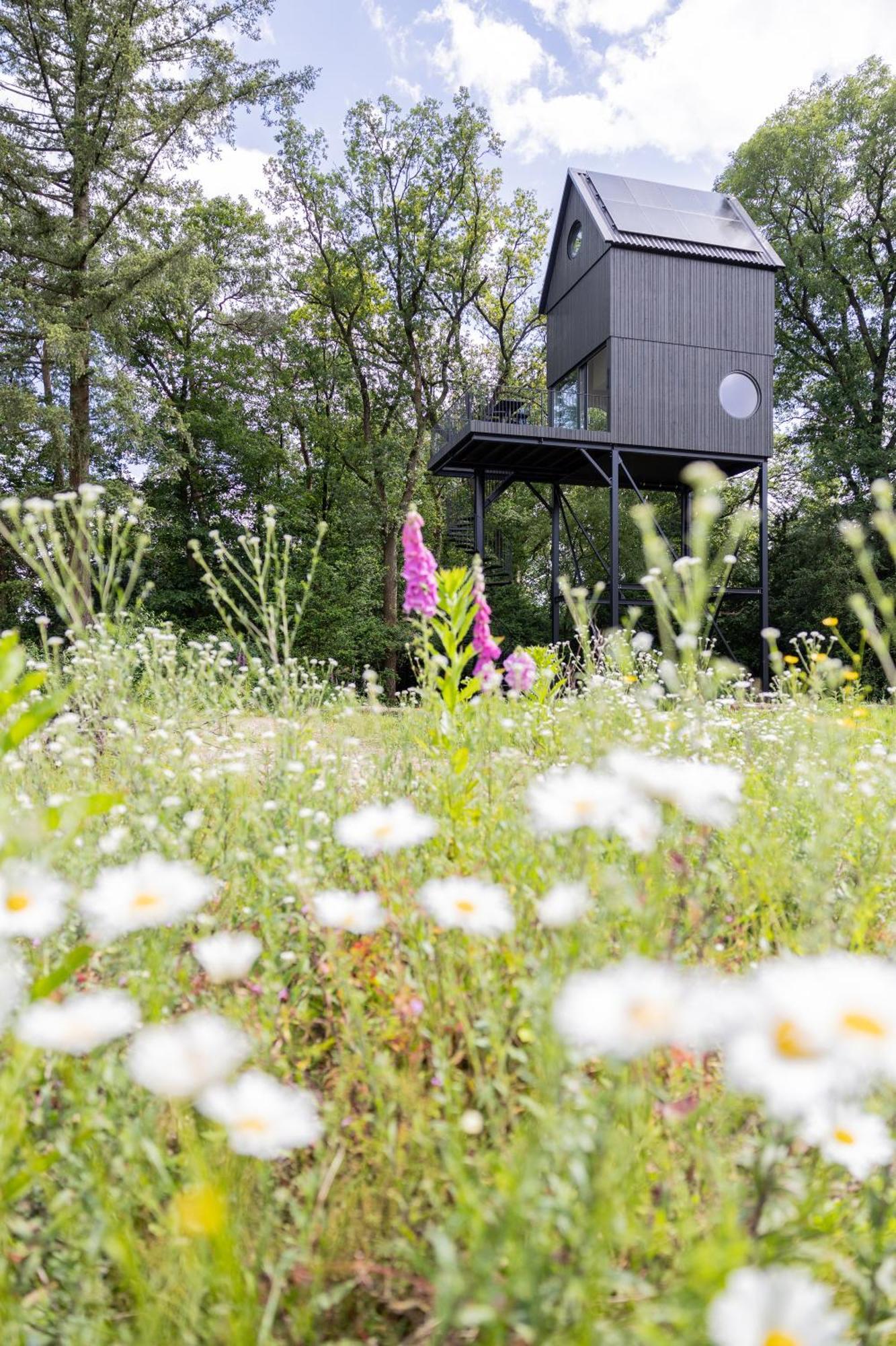 Buitenverblijf Nest Arnhem Exterior foto